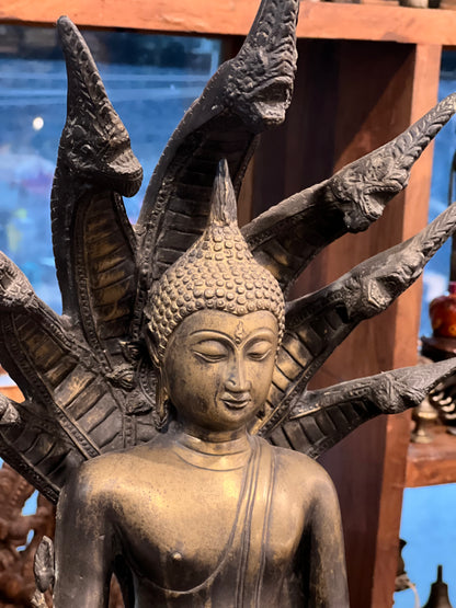 Buddha Muchalinda